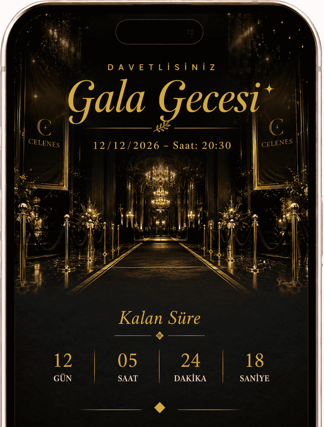 Gala Gecesi