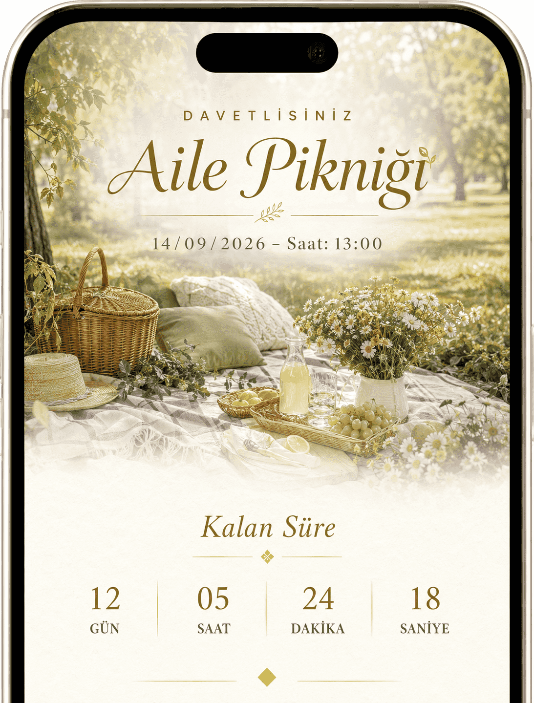 Piknik
