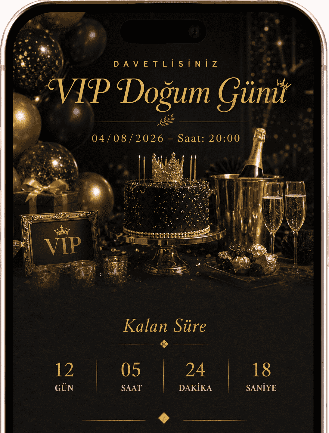 VIP Doğum Günü